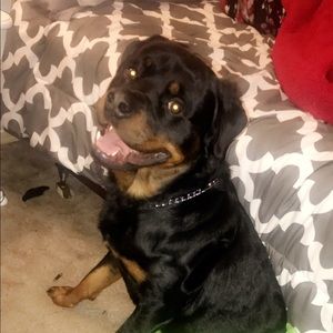 Meet your Posher, Naira